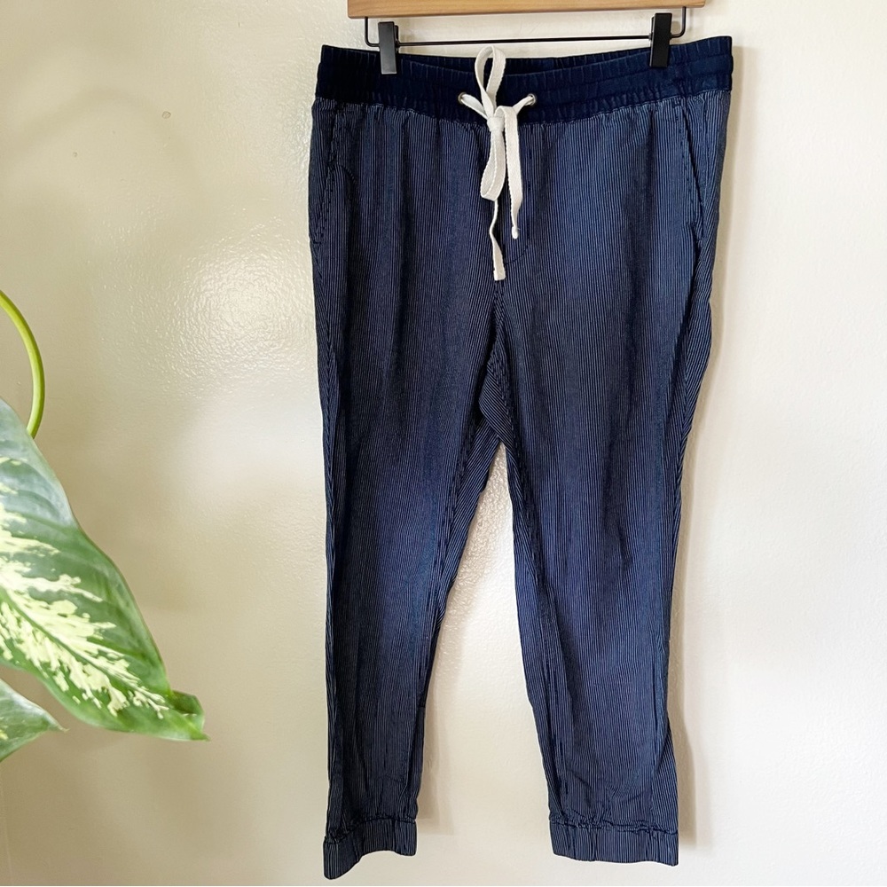 J Crew | Indigo Stripe Sideline Chambray Joggers